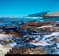 Wyrrabalong National Park - New Castle Holiday