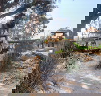 Zambi Wildlife Retreat - New Castle Holiday