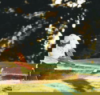 Aberdeen Golf Club - New Castle Holiday