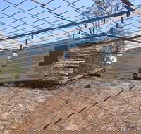 Aboriginal Carvings - New Castle Holiday