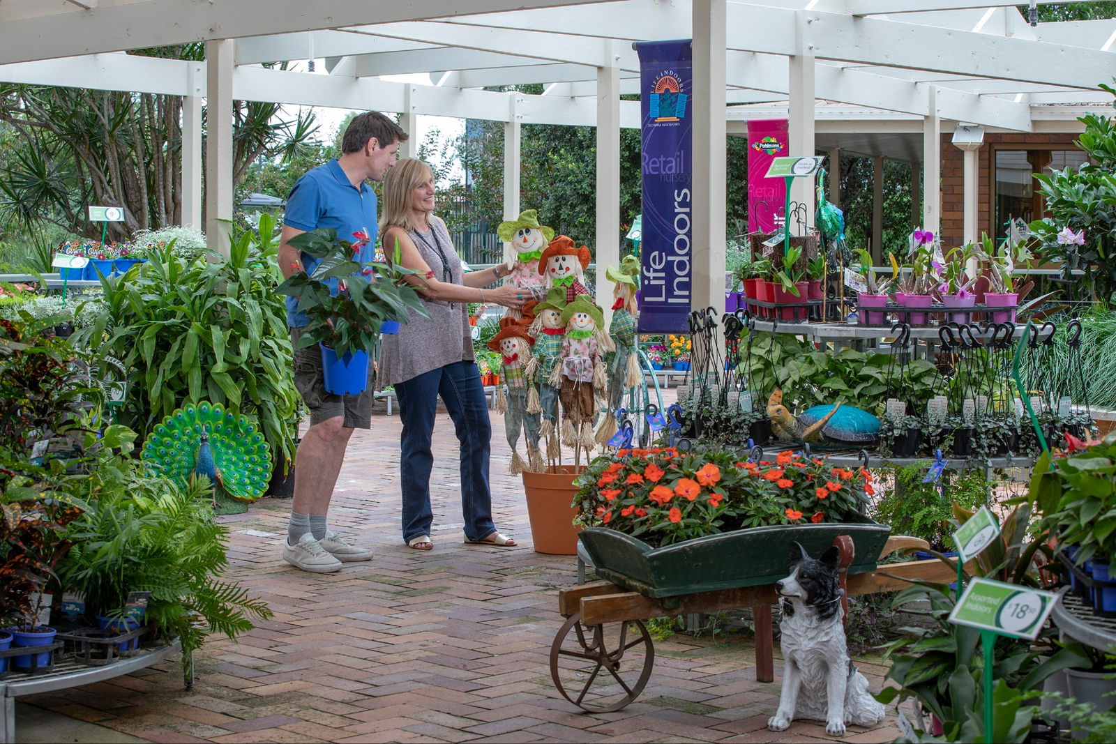 Adare QLD New Castle Holiday