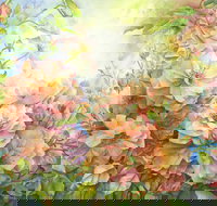 Barossa Chateau Artist in Residence - New Castle Holiday