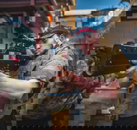 Battlezone Playlive - New Castle Holiday