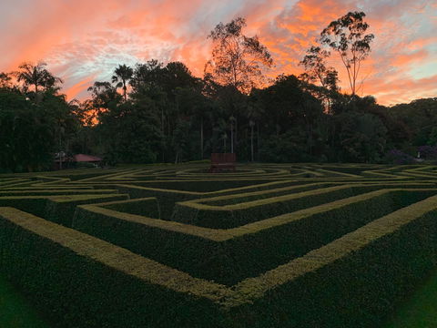 Bellingham Maze - New Castle Holiday 0