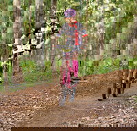 Bom Bom State Forest Mountain Bike Trails - New Castle Holiday