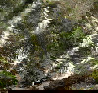 Buddong Falls Walking Track - New Castle Holiday