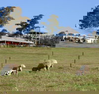 Calmsley Hill City Farm - New Castle Holiday