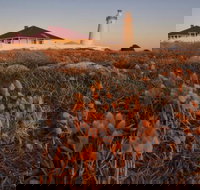 Cape Willoughby Heritage Trail - New Castle Holiday