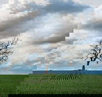 Clare Valley - New Castle Holiday