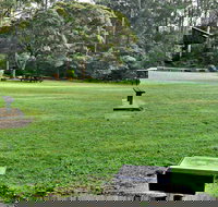 Cottonwood Glen Picnic Area - New Castle Holiday