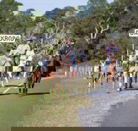 Dayboro - New Castle Holiday