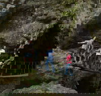 Day trips from Rockhampton - New Castle Holiday