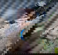 Delta Force Paintball - New Castle Holiday