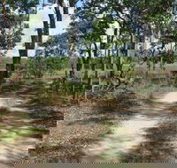 Djukbinj National Park - New Castle Holiday