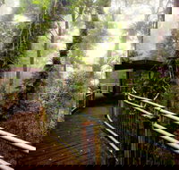 Dorrigo National Park - New Castle Holiday