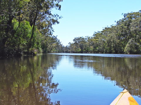 Esk River - New Castle Holiday 0