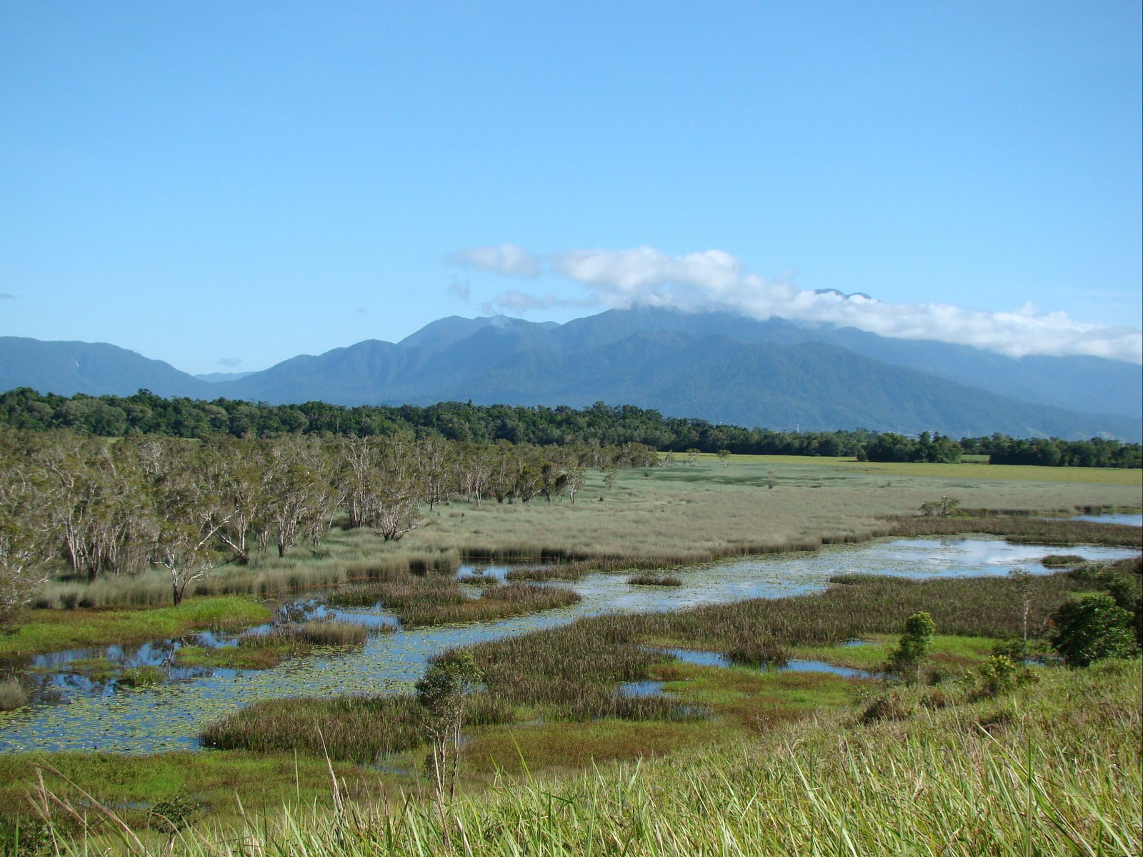 Tropical North Queensland QLD New Castle Holiday