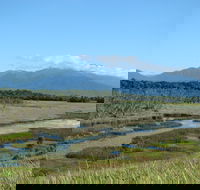 Eubenangee Swamp National Park - New Castle Holiday
