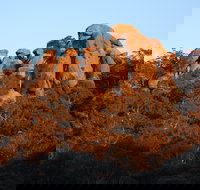 Evans Crown Nature Reserve - New Castle Holiday