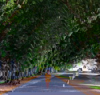 Fig Tree Avenue - New Castle Holiday