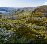 Gold Coast Hinterland Great Walk - New Castle Holiday