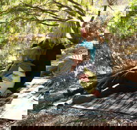 Haig Street Quarry Bushland Reserve Trails - New Castle Holiday