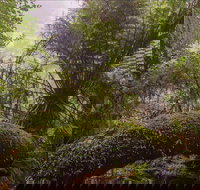 Honeysuckle picnic area - New Castle Holiday