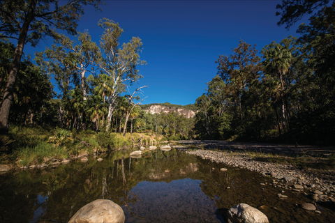 Injune - New Castle Holiday 1