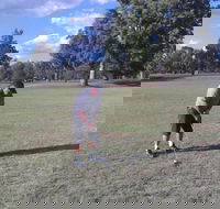 Inverell Golf Club - New Castle Holiday