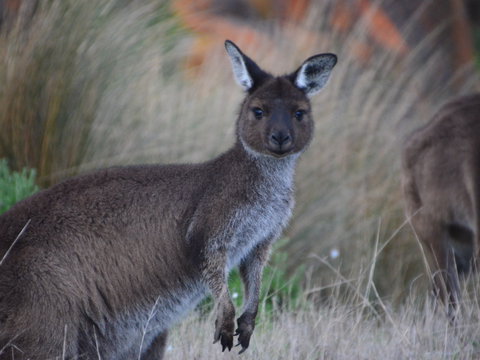 Iron Stone Hill Hike - New Castle Holiday 1