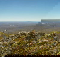 Jerrawangala National Park - New Castle Holiday