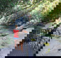 Josephine Falls walking track Wooroonooran National Park - New Castle Holiday