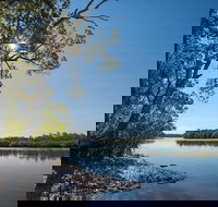 Karuah River National Park and Nature Reserve - New Castle Holiday