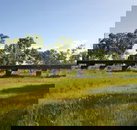 Katherine Railway Trestle Bridge - New Castle Holiday