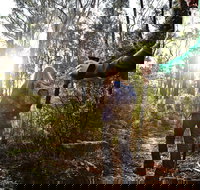 Kinglake National Park - New Castle Holiday