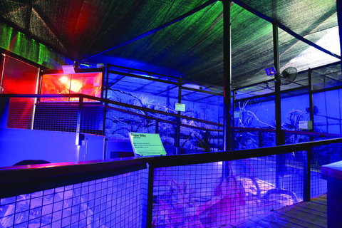 Kuranda Koala Gardens - New Castle Holiday 2