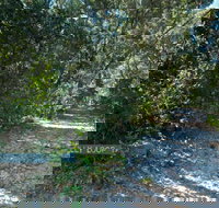 Lillypilly loop trail - New Castle Holiday