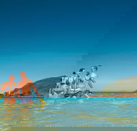 Llewellyn Dive Site - New Castle Holiday