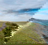 Look At Me Now Headland Walk - New Castle Holiday
