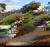 Loxton Community Conservation  Heritage Park - New Castle Holiday