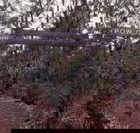 Marrinup Trail Dwellingup - New Castle Holiday