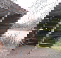 Martin Bend Wetland and Walking Trail - New Castle Holiday