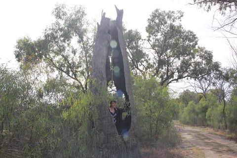 Martin Bend Wetland And Walking Trail - New Castle Holiday 1