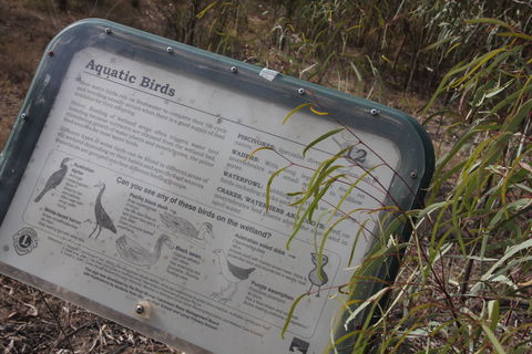 Martin Bend Wetland And Walking Trail - New Castle Holiday 2