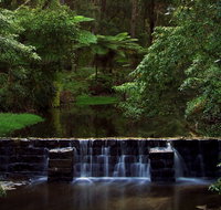 Millards Creek Walk and Cycleway - New Castle Holiday
