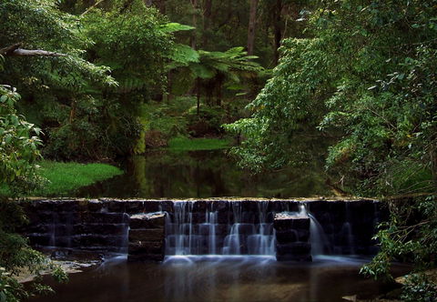 Millards Creek Walk And Cycleway - New Castle Holiday 0
