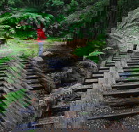 Montezuma Falls - New Castle Holiday