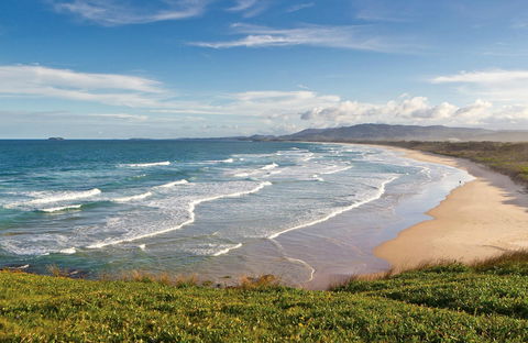 Moonee Beach Nature Reserve - New Castle Holiday 0
