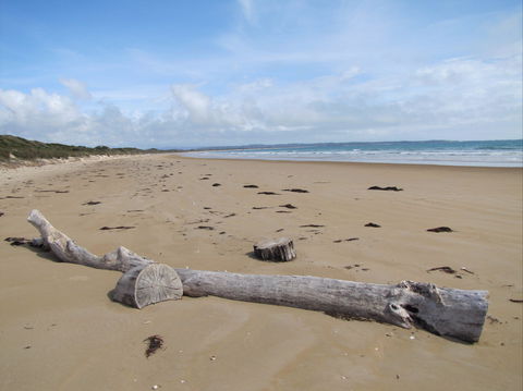 Narawntapu National Park - New Castle Holiday 2