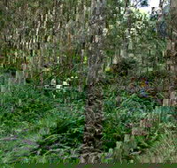 Nature Walking Track - New Castle Holiday